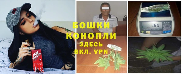 ПСИЛОЦИБИНОВЫЕ ГРИБЫ Баксан