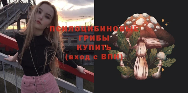амф Пересвет