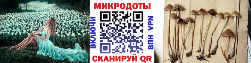 shop какой сайт  мега как войти  Чусовой  Псилоцибиновые грибы ЛСД 